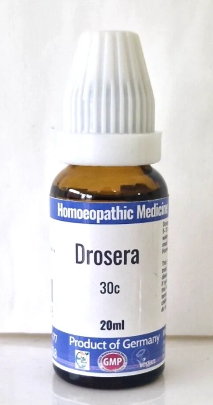 Drosera