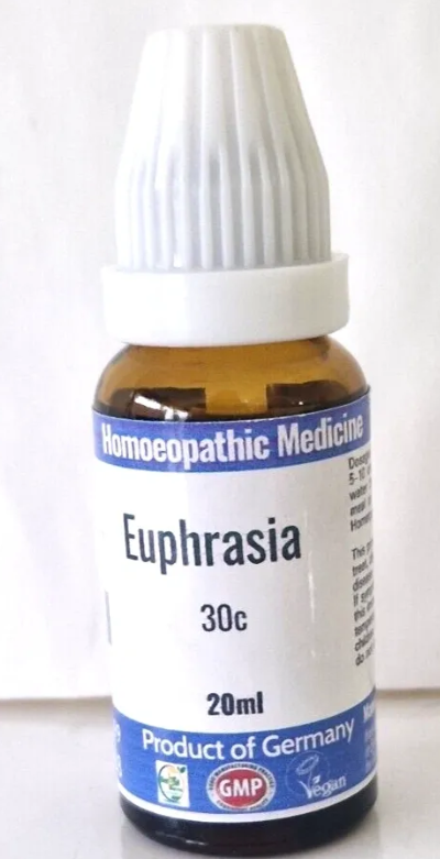 Euphrasia